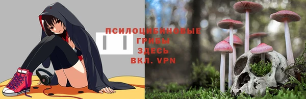 бошки Арсеньев