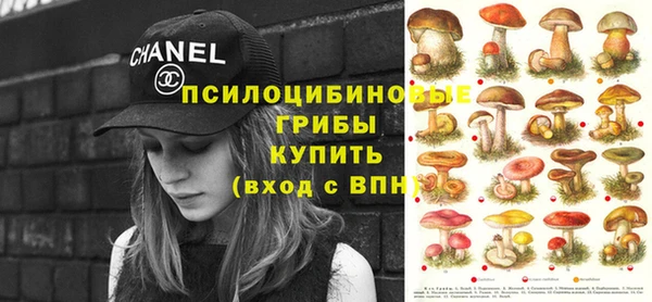 spice Армянск