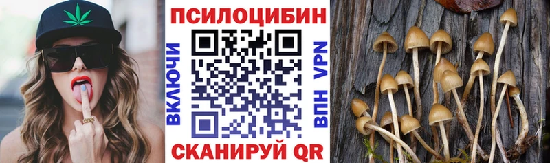 Псилоцибиновые грибы ЛСД Циолковский
